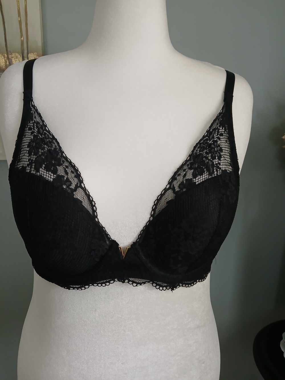 Sheer Lace Black Plunge Bra with Light Padding